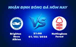 brighton hove albion nottingham forest 01 03 ngoai hang anh